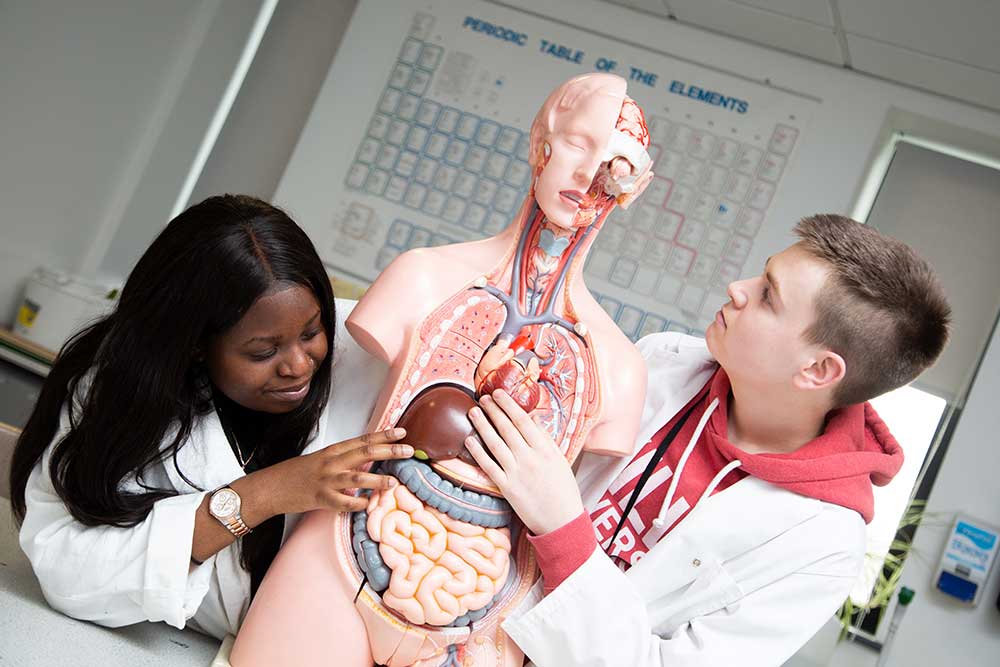 ELEMENTS: Level 3 Y2 Health and Social Care 25/26 (R/W)